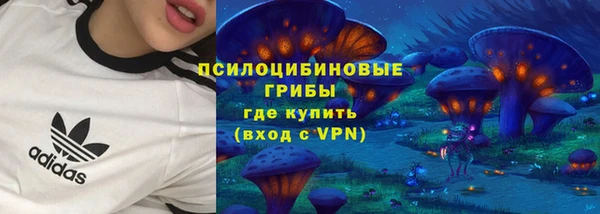 дживик Абаза