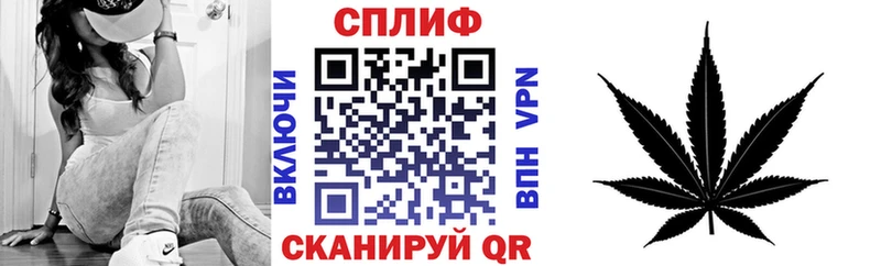 Бошки Шишки ГИДРОПОН Алагир